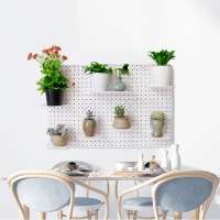 plastic wall mounted combined pegboard stand set F